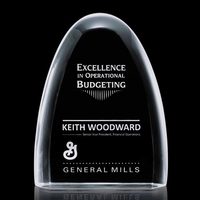 Stunning, unique curved shaped thick optical award.... from ASI 84592 St...