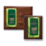 Fusion Plaque - Tourmaline