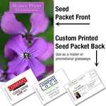 Money Plant - Mailable Seed Packet - Custom Printed