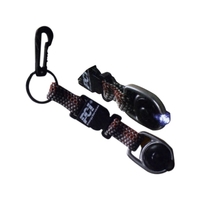 Clip Cat with LED Light