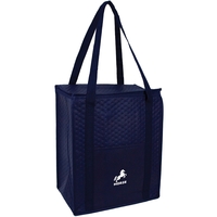 Large Zippered Cooler Tote