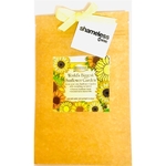World's Biggest Sunflower Garden GroBag