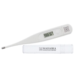 Electronic Thermometer