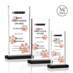 Arizona VividPrint™ Award - Black
