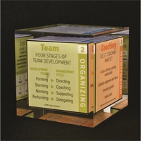 Cube Shaped Award