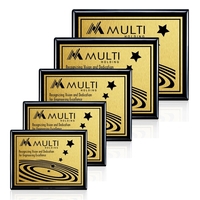 Carson - Black/Satin Gold