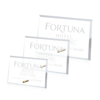 Windsor Rectangle Horizontal Award - Gold