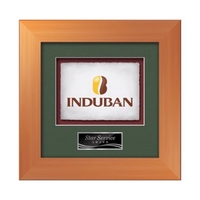 VividPrint award framed in our exquisite Premier molding with your choice......