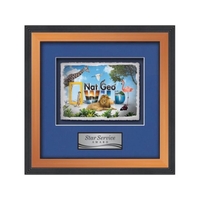 VividPrint award framed in our exquisite Jasper molding with your choice......