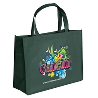 Franklin Celebration Tote - ColorVista