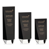 The ebony optical crystal Edenbrook Award is enhanced with a clear... from...