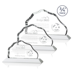 Petersen Award - White