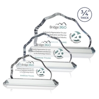 Petersen VividPrint™ Award - Clear