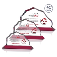 Petersen VividPrint™ Award - Red