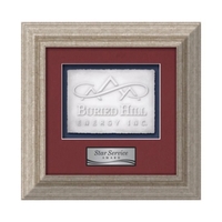 Terrene - Antique Silver