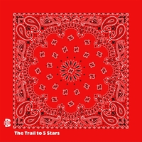 Promotional Grade Economic Paisley Bandana - Imported