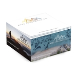 Adhesive Cube - 3 3/8" x 3 3/8" x 1 3/4" - Full Color