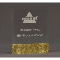 5" x 6" acrylic award with rectangle shape and glitter bottom... from ASI...