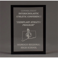 Cast Acrylic Rectangle Solid Color Outside Frame 4" x 6" x... from ASI 45430...