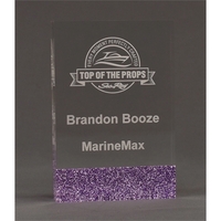 Glued Rectangle Glitter Lower Back Accent