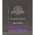 Glued Rectangle Glitter Lower Back Accent