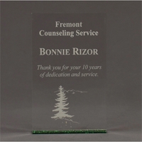 4"W x 6"L acrylic award with Glued Rectangle Glitter On Bottom... from ASI...