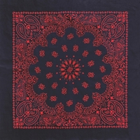 Austin Paisley Bandana - Imported