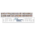 Vinyl Plastic Presidential 12" Ruler