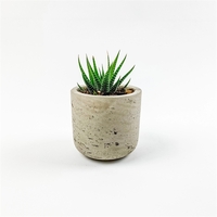 Hard-to-Kill Customizable Potted Plant Perfect for any Desk Space!... from...