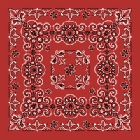 Texas Paisley Bandana - Imported