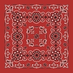 Texas Paisley Bandana - Imported