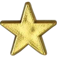 Plastic Star Shaped Pin