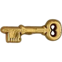 Plastic Key Shaped Pin