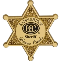 Plastic Six Point Star Badge includes 1 base color of black,... from ASI...