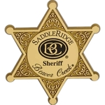 Six Point Star Plastic Badge