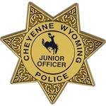 Plastic 7 Point Star Badge
