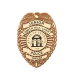 Junior Police Officer Plastic Badge