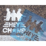 12" x 9" Custom Stencils