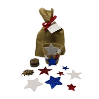 DIY patrioticGardening Kit... from ASI 58295 Groline