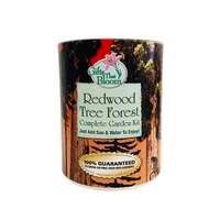 Redwood Tree Garden in Eco-Friendly Grocan