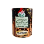 Redwood Tree Garden in Eco-Friendly Grocan