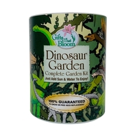 Dinosaur Garden in Eco-Friendly Grocan