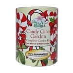 Candy Cane Garden in Eco-Friendly Grocan