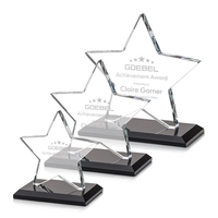 Sudbury Star Award features a beautifully beveled Starfire Star mounted on......