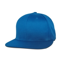 6 Panel Baseball Cap