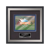 VividPrint award framed in our exquisite Jasper molding with your choice......