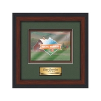 VividPrint award framed in our exquisite Jasper molding with your choice......