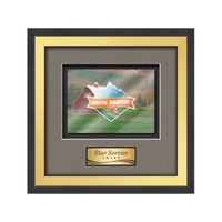 VividPrint award framed in our exquisite Jasper molding with your choice......
