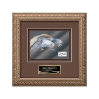 VividPrint award framed in our exquisite Romagna molding with your choice......