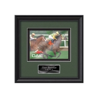 VividPrint award framed in our exquisite Raven molding with your choice......